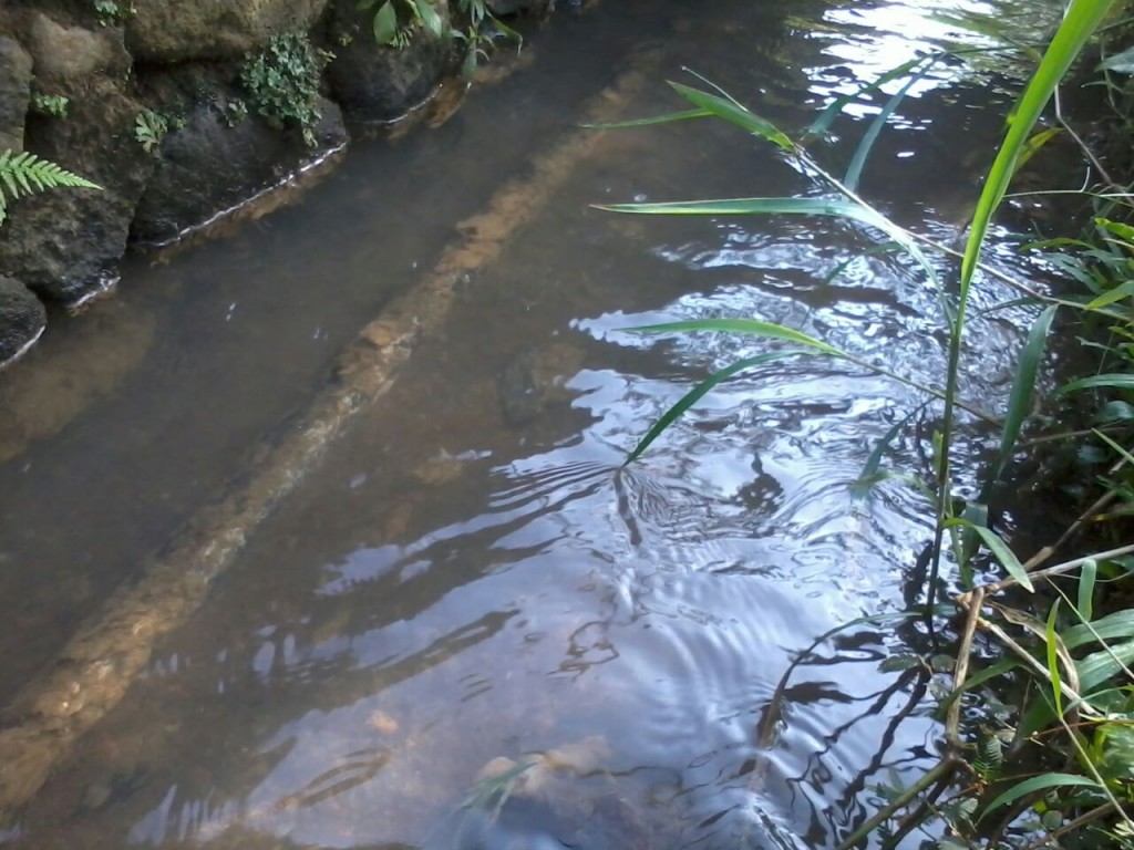 sungai yang tercemar limbah
